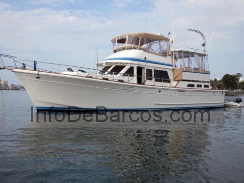 Offshore 48 ficha técnica y opiniones